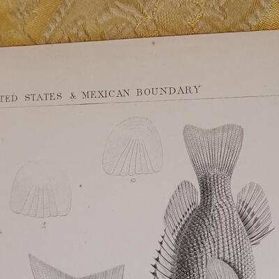 Lot 258: Antique Mid- 1800's U.S.P.R.R. Ex. & Surveys (United States PacificRailroad) "Fishes Plates"