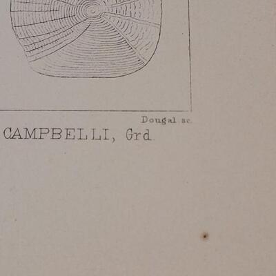 Lot 258: Antique Mid- 1800's U.S.P.R.R. Ex. & Surveys (United States PacificRailroad) "Fishes Plates"