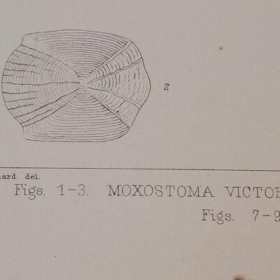 Lot 258: Antique Mid- 1800's U.S.P.R.R. Ex. & Surveys (United States PacificRailroad) "Fishes Plates"