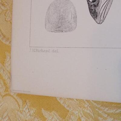 Lot 259: Antique Mid- 1800's U.S.P.R.R. Ex. & Surveys (United States PacificRailroad) "Fishes Plates"