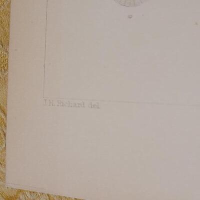 Lot 259: Antique Mid- 1800's U.S.P.R.R. Ex. & Surveys (United States PacificRailroad) "Fishes Plates"