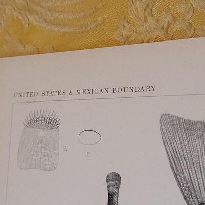 Lot 259: Antique Mid- 1800's U.S.P.R.R. Ex. & Surveys (United States PacificRailroad) "Fishes Plates"