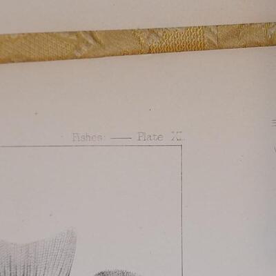 Lot 259: Antique Mid- 1800's U.S.P.R.R. Ex. & Surveys (United States PacificRailroad) "Fishes Plates"