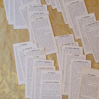 Lot 263: 1962 Teach-Me About FISHES Fish Flash Cards