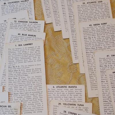 Lot 263: 1962 Teach-Me About FISHES Fish Flash Cards