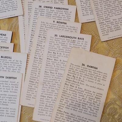 Lot 263: 1962 Teach-Me About FISHES Fish Flash Cards
