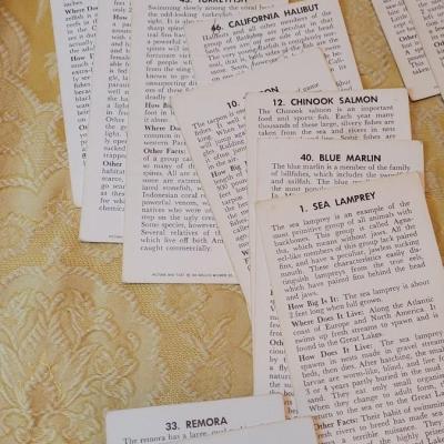 Lot 263: 1962 Teach-Me About FISHES Fish Flash Cards