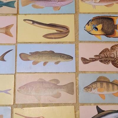 Lot 263: 1962 Teach-Me About FISHES Fish Flash Cards