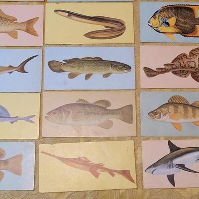 Lot 263: 1962 Teach-Me About FISHES Fish Flash Cards