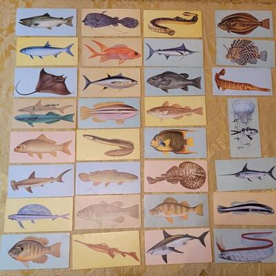 Lot 263: 1962 Teach-Me About FISHES Fish Flash Cards