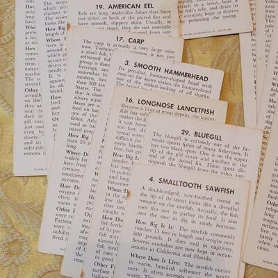 Lot 263: 1962 Teach-Me About FISHES Fish Flash Cards