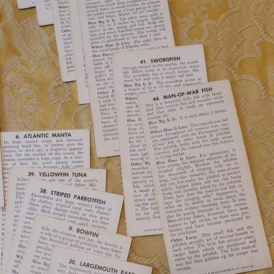 Lot 263: 1962 Teach-Me About FISHES Fish Flash Cards