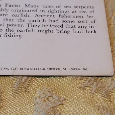 Lot 263: 1962 Teach-Me About FISHES Fish Flash Cards