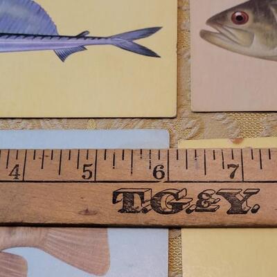 Lot 263: 1962 Teach-Me About FISHES Fish Flash Cards