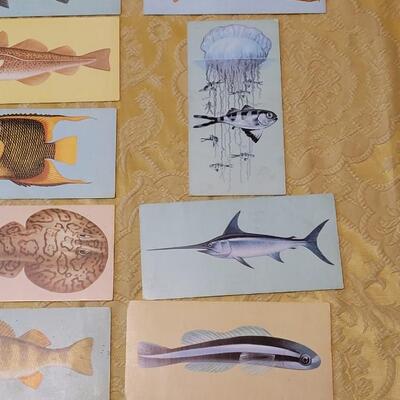 Lot 263: 1962 Teach-Me About FISHES Fish Flash Cards