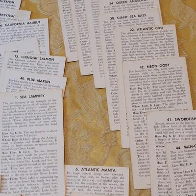 Lot 263: 1962 Teach-Me About FISHES Fish Flash Cards