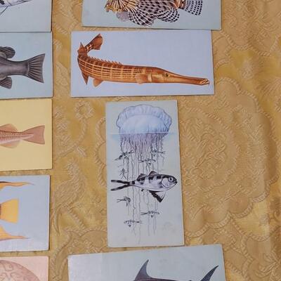 Lot 263: 1962 Teach-Me About FISHES Fish Flash Cards