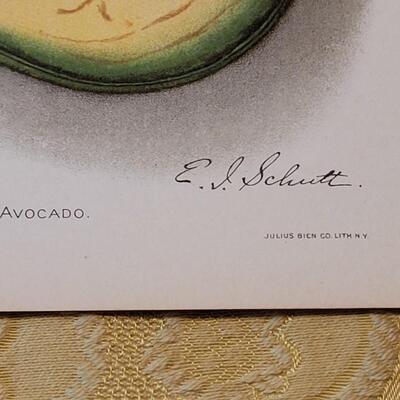 Lot 264: Antique Plate Prints, Singer Bird Cards and Wildflowers of California Mini Booklet