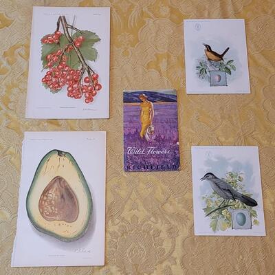 Lot 264: Antique Plate Prints, Singer Bird Cards and Wildflowers of California Mini Booklet