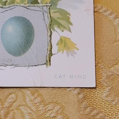 Lot 264: Antique Plate Prints, Singer Bird Cards and Wildflowers of California Mini Booklet