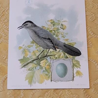Lot 264: Antique Plate Prints, Singer Bird Cards and Wildflowers of California Mini Booklet