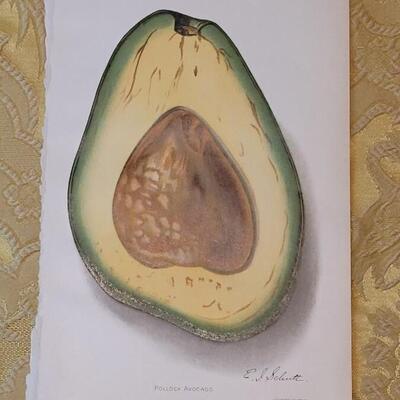 Lot 264: Antique Plate Prints, Singer Bird Cards and Wildflowers of California Mini Booklet
