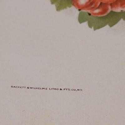 Lot 264: Antique Plate Prints, Singer Bird Cards and Wildflowers of California Mini Booklet