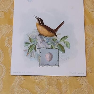 Lot 264: Antique Plate Prints, Singer Bird Cards and Wildflowers of California Mini Booklet