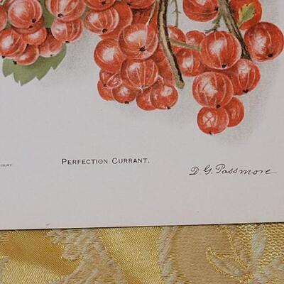 Lot 264: Antique Plate Prints, Singer Bird Cards and Wildflowers of California Mini Booklet