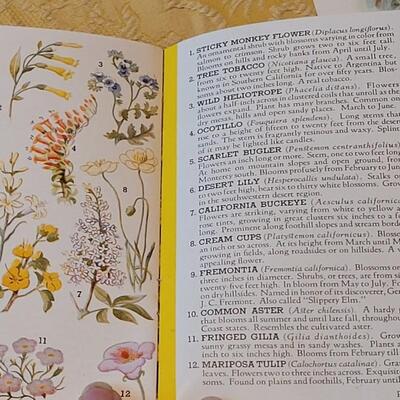 Lot 264: Antique Plate Prints, Singer Bird Cards and Wildflowers of California Mini Booklet