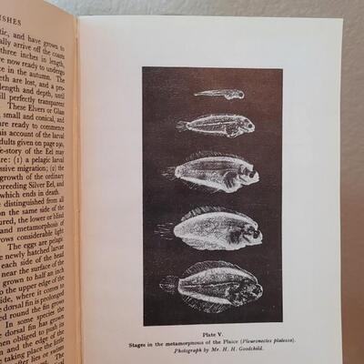 Lot 280: (3) Vintage Nature Lovers Books feat. A History of Fishes