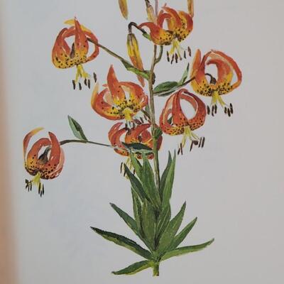 Lot 302: Signed By Author:  "Flowers and Where they Grow" 1967