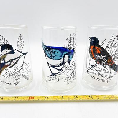 5â€ BIRD DRINKING GLASSES - CHICKADEE, BLUE JAY, ORIOLE