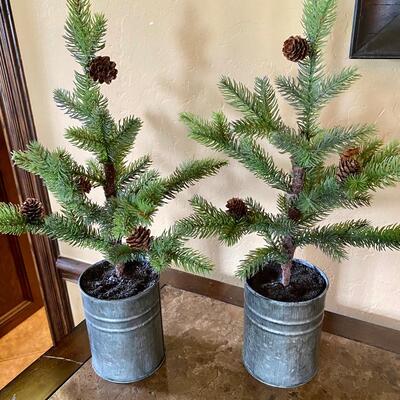 Pair Trees with Pine Cones in Galvanized Bins