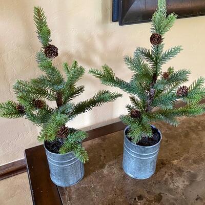 Pair Trees with Pine Cones in Galvanized Bins