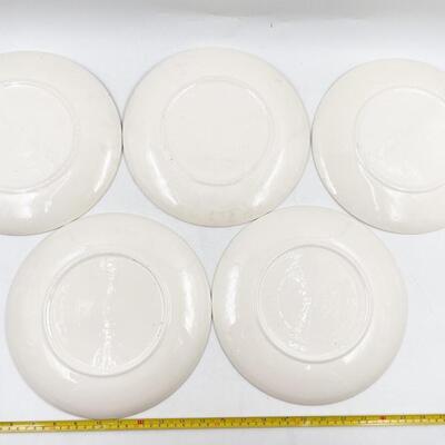 MOUNT CLEMENS â€œMT. ROSEâ€ 10â€ DINNER PLATES (11)