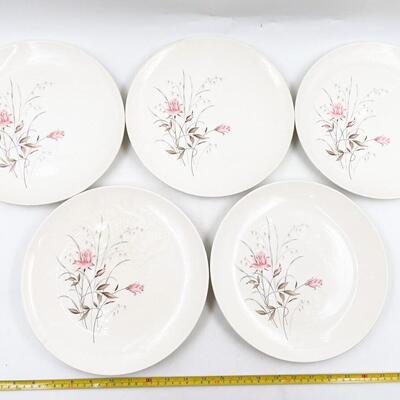 MOUNT CLEMENS â€œMT. ROSEâ€ 10â€ DINNER PLATES (11)