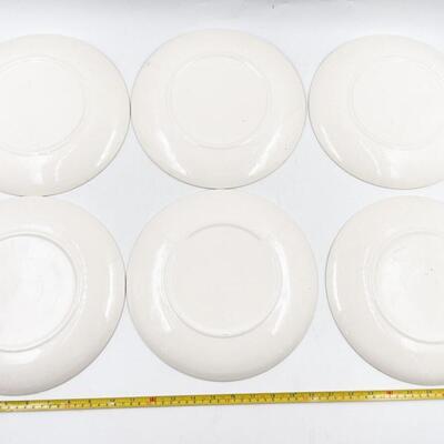 MOUNT CLEMENS â€œMT. ROSEâ€ 10â€ DINNER PLATES (11)