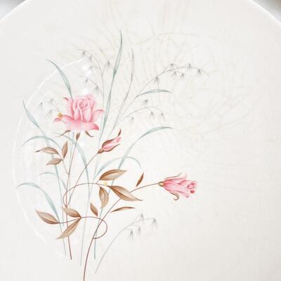 MOUNT CLEMENS â€œMT. ROSEâ€ 10â€ DINNER PLATES (11)