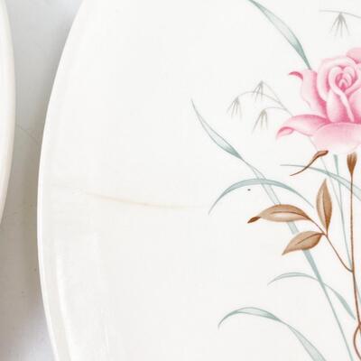 MOUNT CLEMENS â€œMT. ROSEâ€ 10â€ DINNER PLATES (11)
