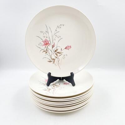 MOUNT CLEMENS â€œMT. ROSEâ€ 10â€ DINNER PLATES (11)