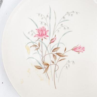MOUNT CLEMENS â€œMT. ROSEâ€ 7.5â€ PLATES (12)