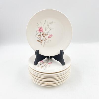 MOUNT CLEMENS â€œMT. ROSEâ€ 6â€ PLATES (12)