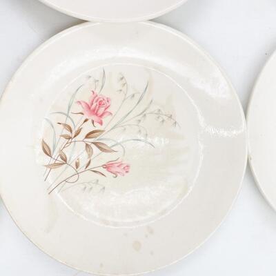 MOUNT CLEMENS â€œMT. ROSEâ€ 6â€ PLATES (12)