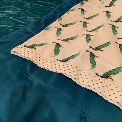 Opalhouse queen velvet comforter and sheets