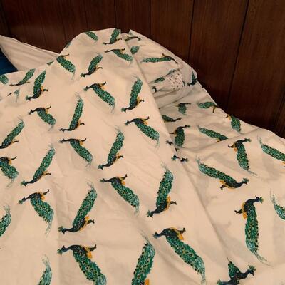 Opalhouse queen velvet comforter and sheets