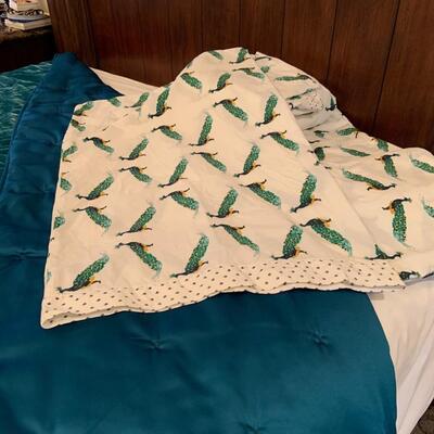 Opalhouse queen velvet comforter and sheets