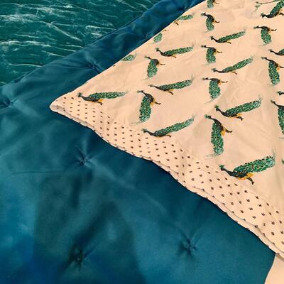 Opalhouse queen velvet comforter and sheets