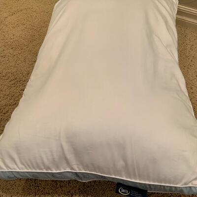 Two Pillows - The Seasons Collection and Serta