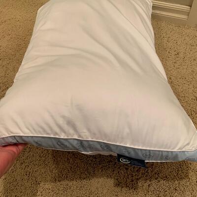 Two Pillows - The Seasons Collection and Serta